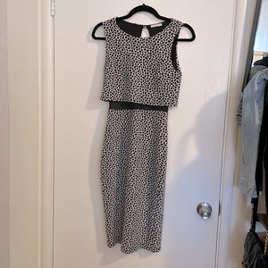 Bombshell black and white below the knee dress